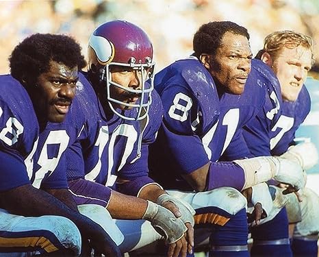 Image result for purple people eater vikings