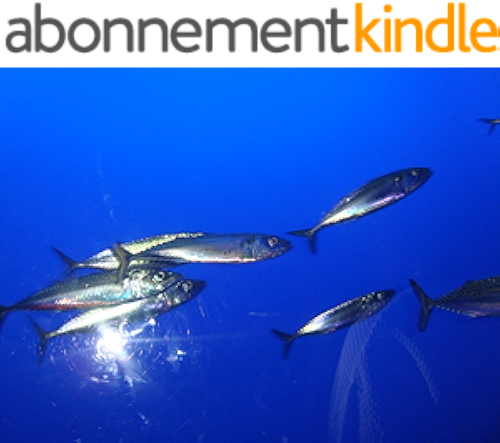 Download A Novel of Subversion: Code-switching in Temps de chien by Patrice Nganang (English Edition) PDF