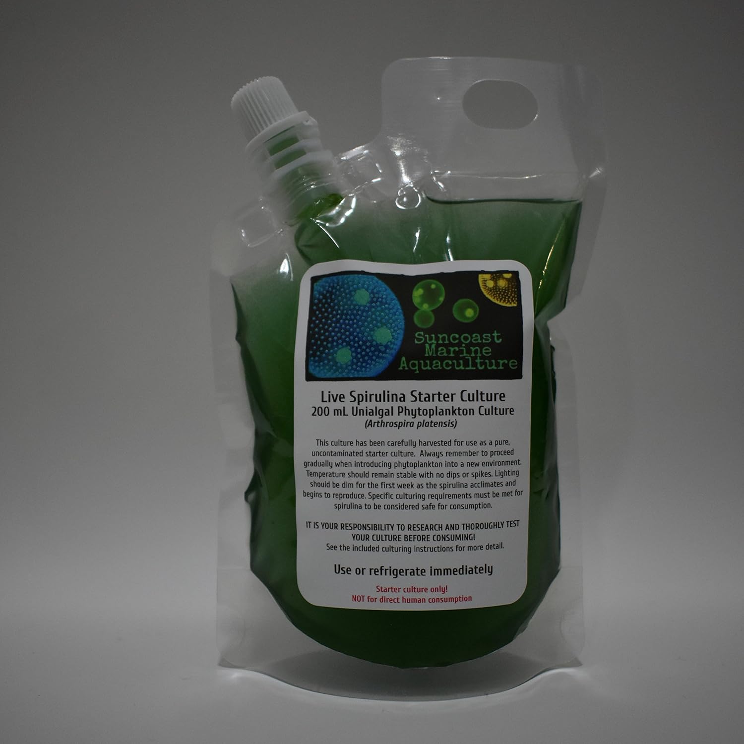 High Density Live Spirulina200mL (6.8 oz) Arthrospira platensis, LIVE