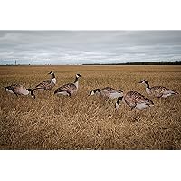 Amazon.com : Real-Geese New!! 1 Doz Vivid Series Silhouette Decoys