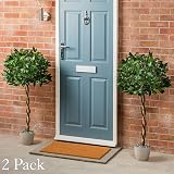 Christow Large 4ft Bay Tree In Pot Twin Pack Indoor Outdoor Topiary view 2
