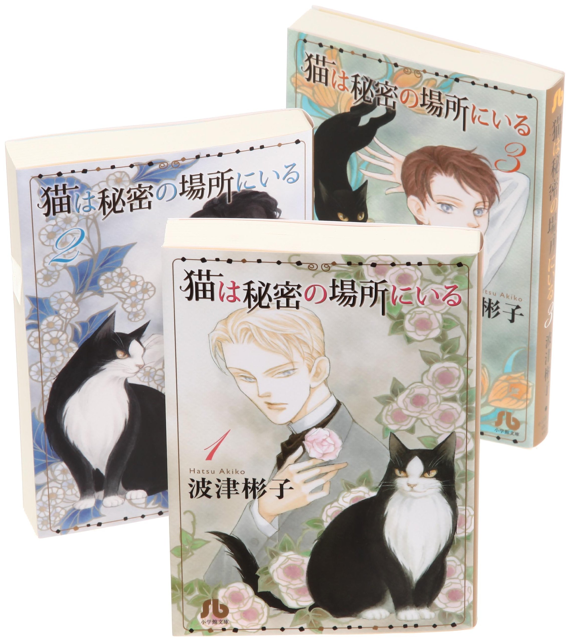 Whole Volume Set That Are In The Secret Place Cat Shogakukan Novel 11 Isbn Japanese Import Amazon Com Books