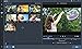 Bandicut Video Cutter, Joiner & Editor for Windows [Download]