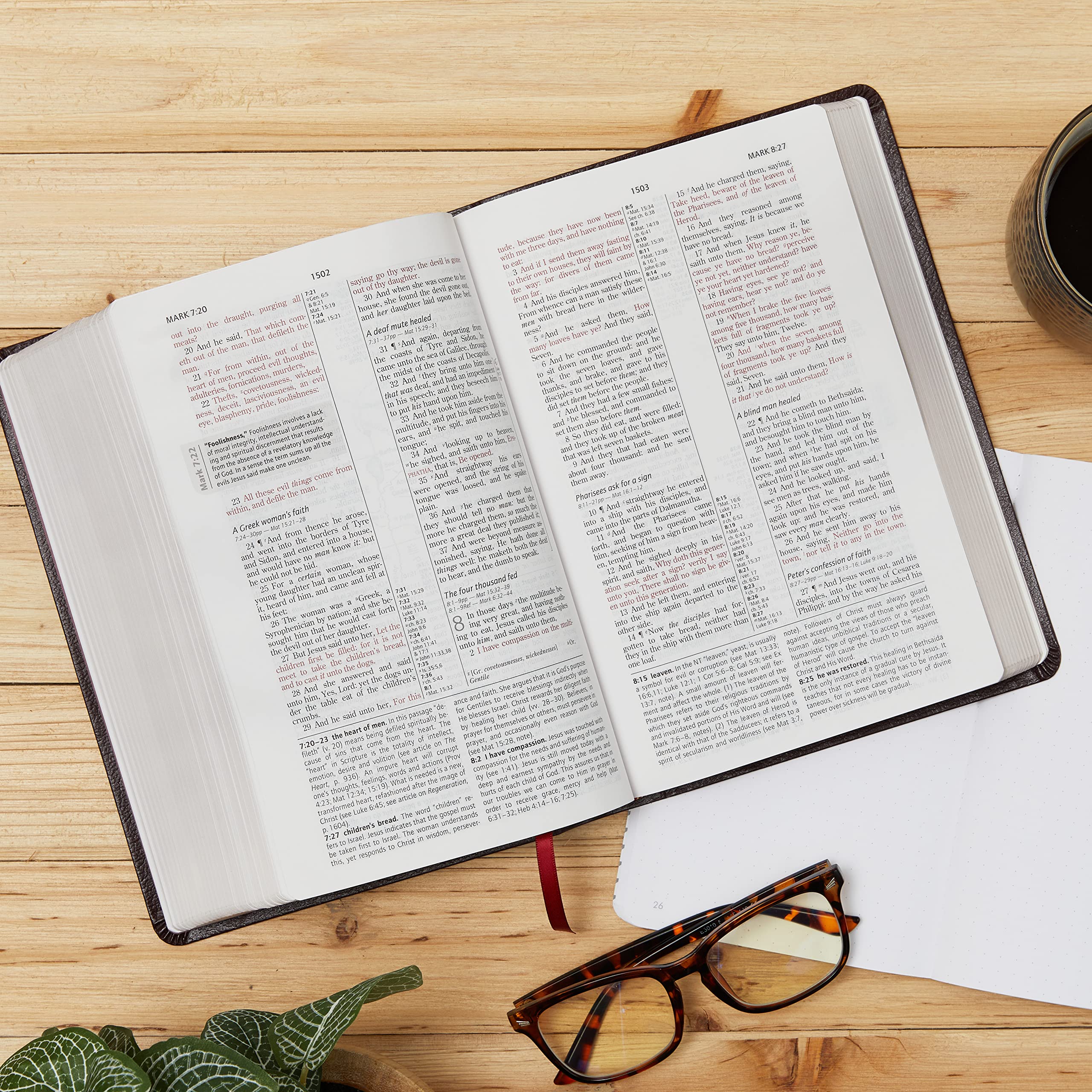 KJV Life in the Spirit Study Bible, Indexed