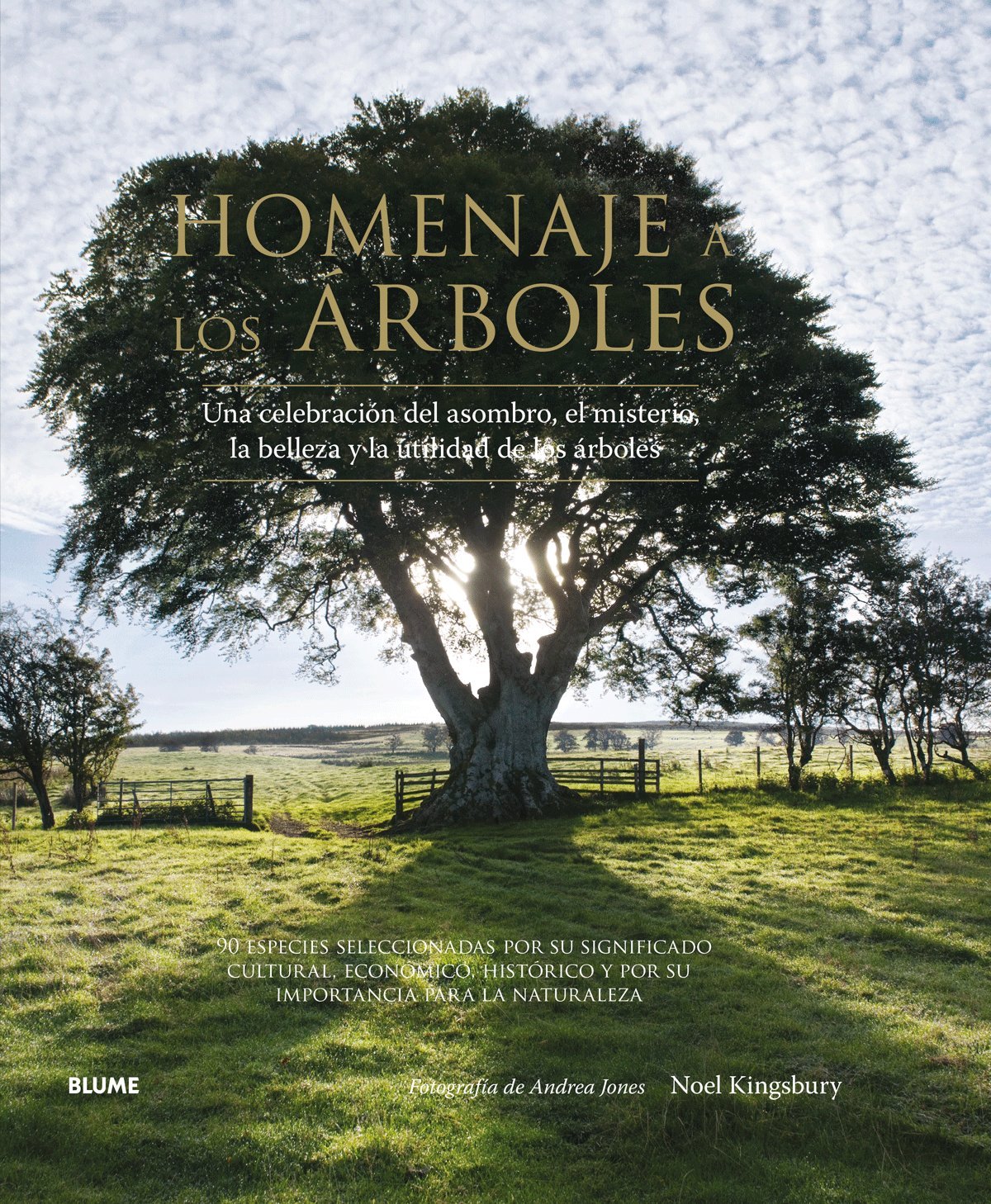 Homenaje a los árboles: Una celebración del asombro, el misterio ...