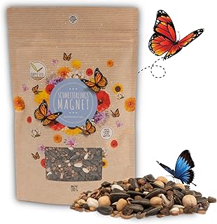 100g Schmetterlingswiese Samen für eine bunte Blumenwiese - Farbenfrohe & nektarreiche Wildblumensamen Mischung für Schmetterlinge