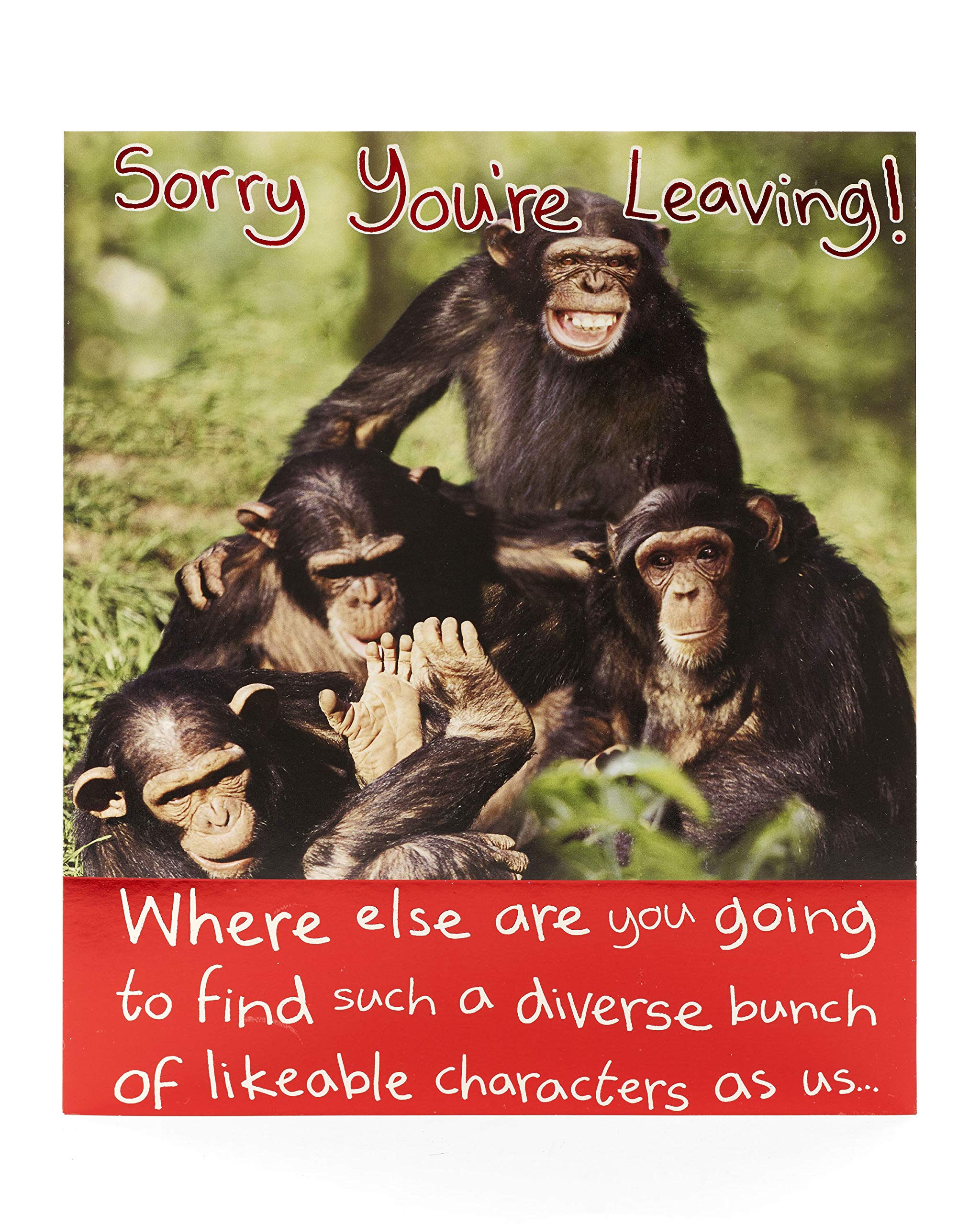 Sorry You're Leaving Card Funny - Goodbye Card Funny - Ideal Leaving Gift Card for Colleagues - Sorry You're Leaving Gifts - Monkey, Chimp
