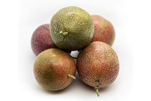 TROPICAL IMPORTERS Fresh Purple Passion Fruit (5lb)