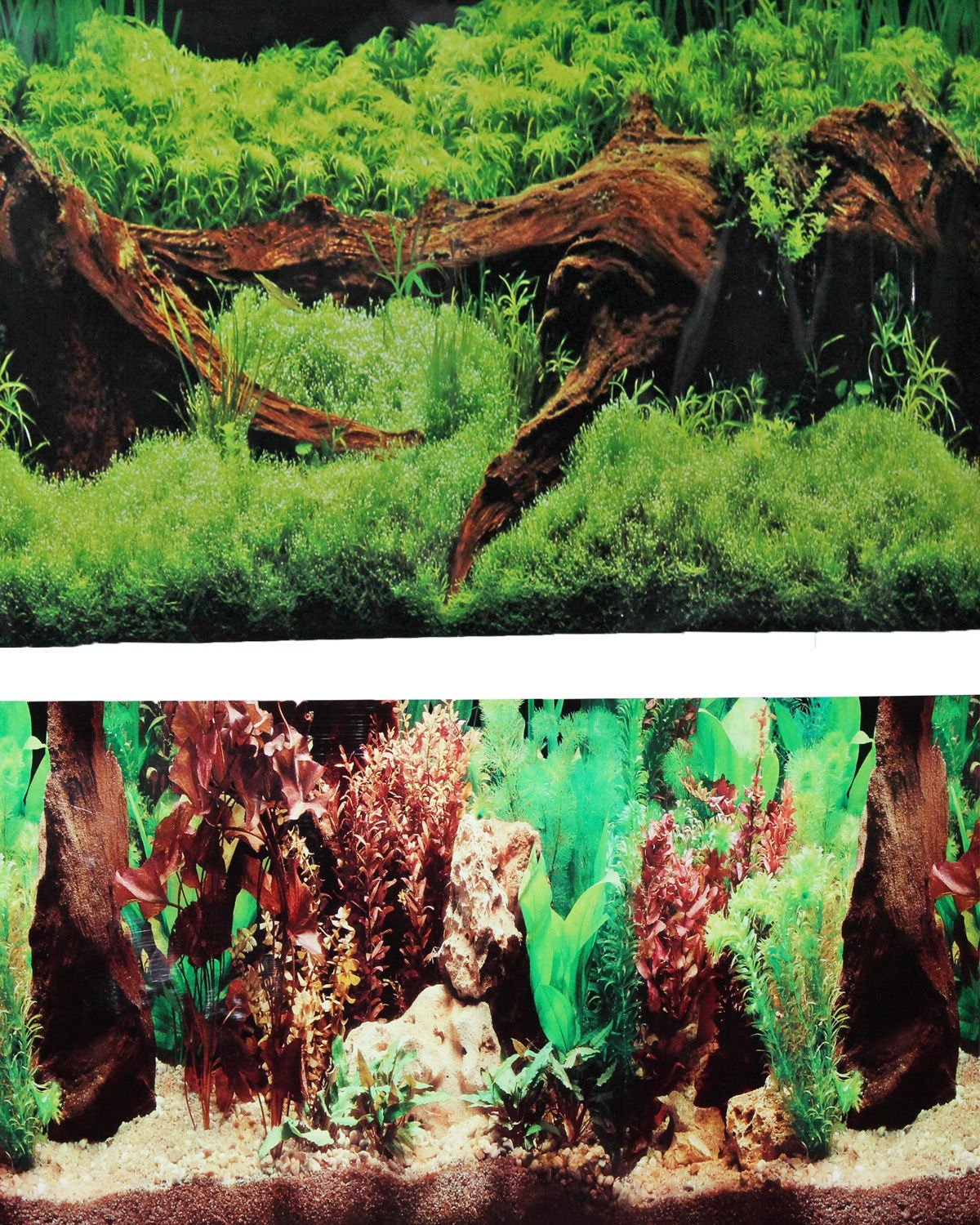 2 Sided Driftwood/Floral Background Aquarium
