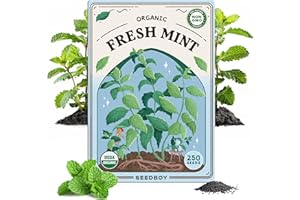 Seedboy Organic Mint Herb Seeds for Indoor Gardening or Planting Outdoors, Non-GMO and USDA Certified Herb Seed Packets, 250 Seeds/20 mg (Peppermint)
