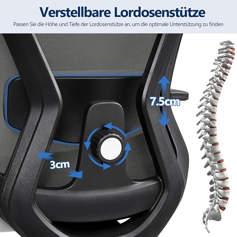 Bürostuhl ergonomischer schreibtischstuhl mit Verstellbarer Kopfstütze & Lendenwirbelstütze, atmungsaktiver Netzstuhl mit breitem Sitz, S-förmige Rückenlehne, 360° drehbar Schwarz