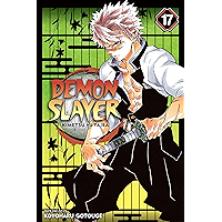 Demon Slayer: Kimetsu no Yaiba, Vol. 17: Successors book cover