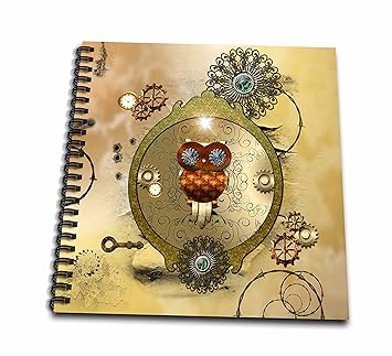 Amazoncom 3d Rose Steampunk Cute Owl On A Frame With