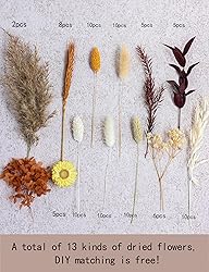 DIY Dried Flower Set, Bulk Dried Flowers,Autumn