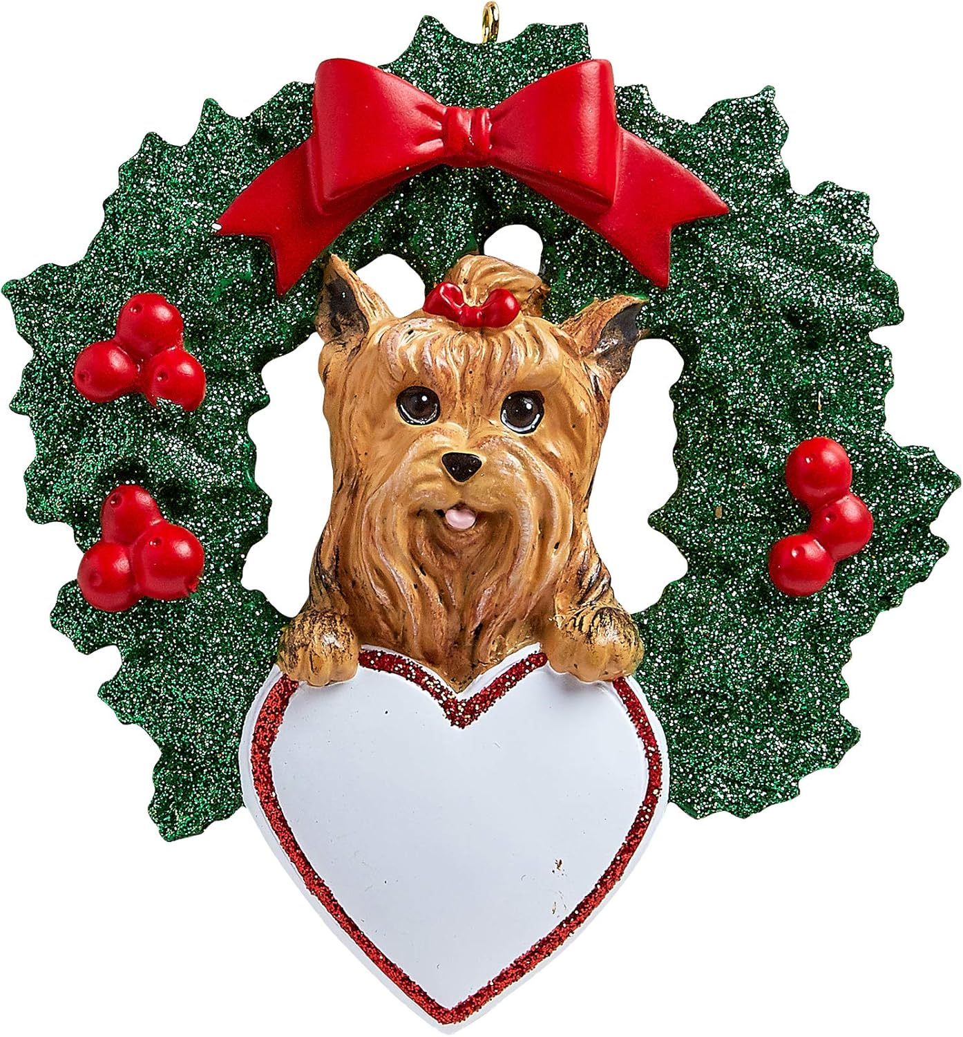 fluffy yorkshire terrier