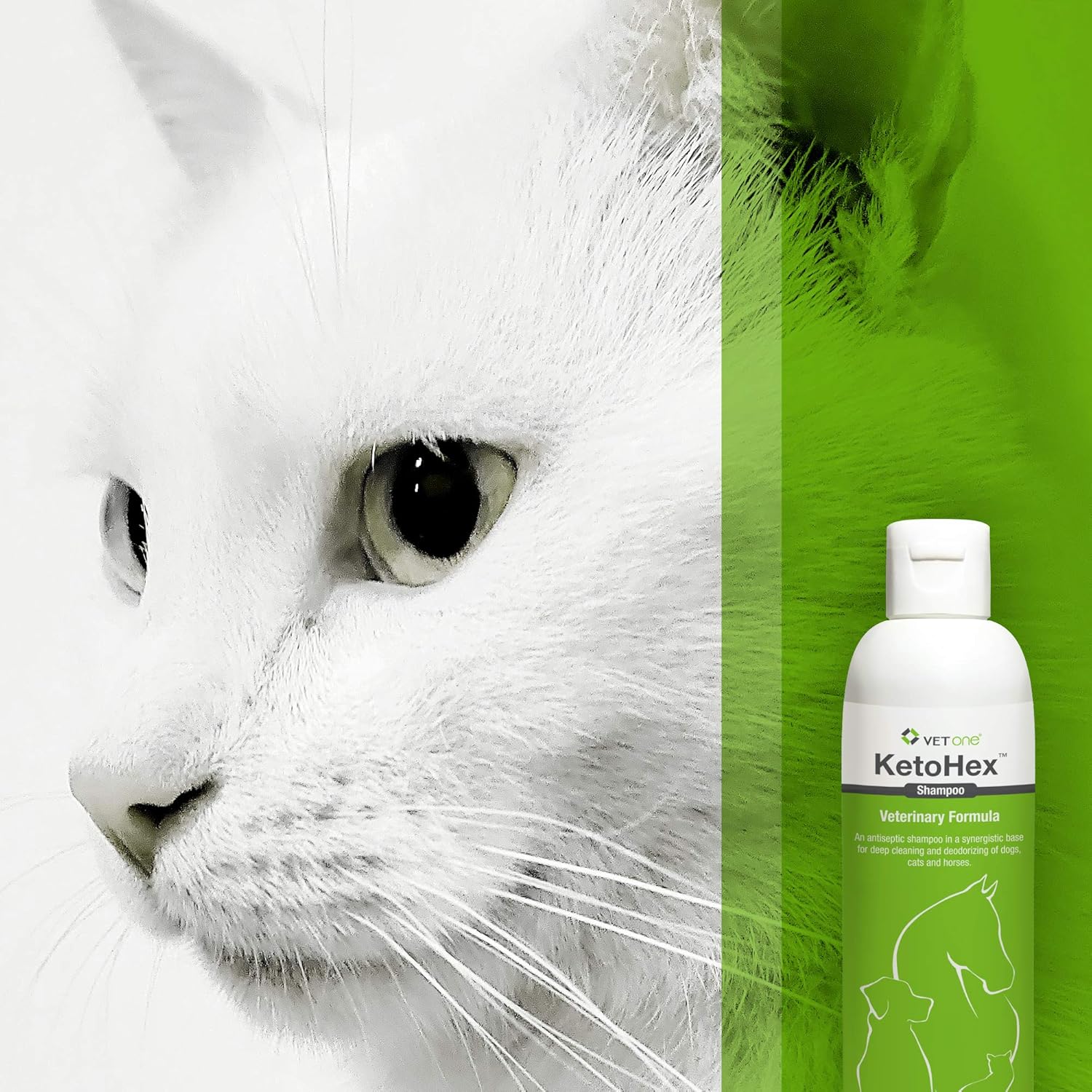 ketohex shampoo petsmart