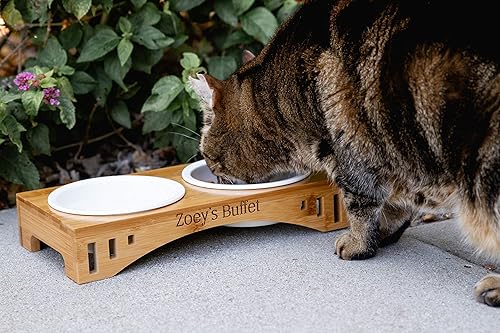 Amazon Com Personalized Elevated Pet Feeder Stand Two Or Three