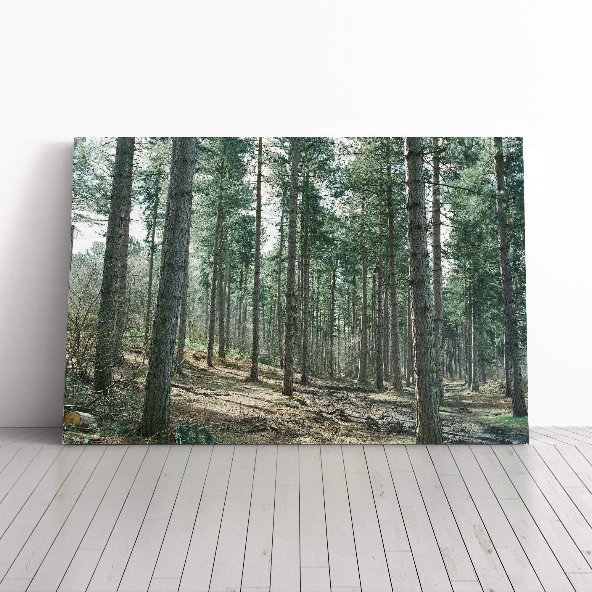 Landscape Conifer Tree Forest Canvas Print | Gallery Wrapped 30mm Frame Wall Art | 20x14 inches | Ready to Hang | Modern Landscape Picture | Living Room Bedroom Lounge Office