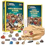 National Geographic Mega Fossil and Gemstone Dig