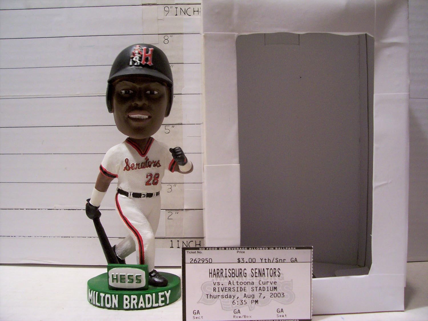 harrisburg senators jersey