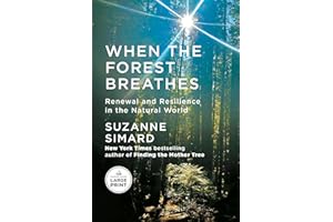 When the Forest Breathes: Renewal and Resilience in the Natural World