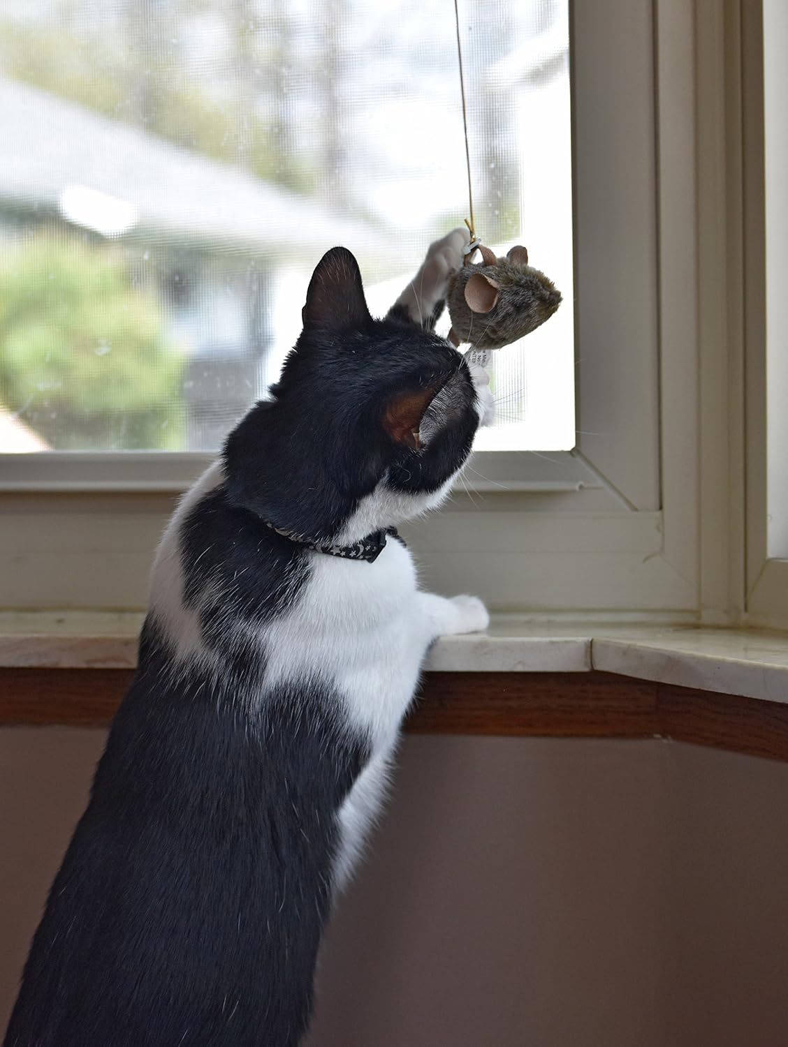 Pet Zone Our Pets Play-N-Squeak Batting Practice Cat Toy: Pet Supplies