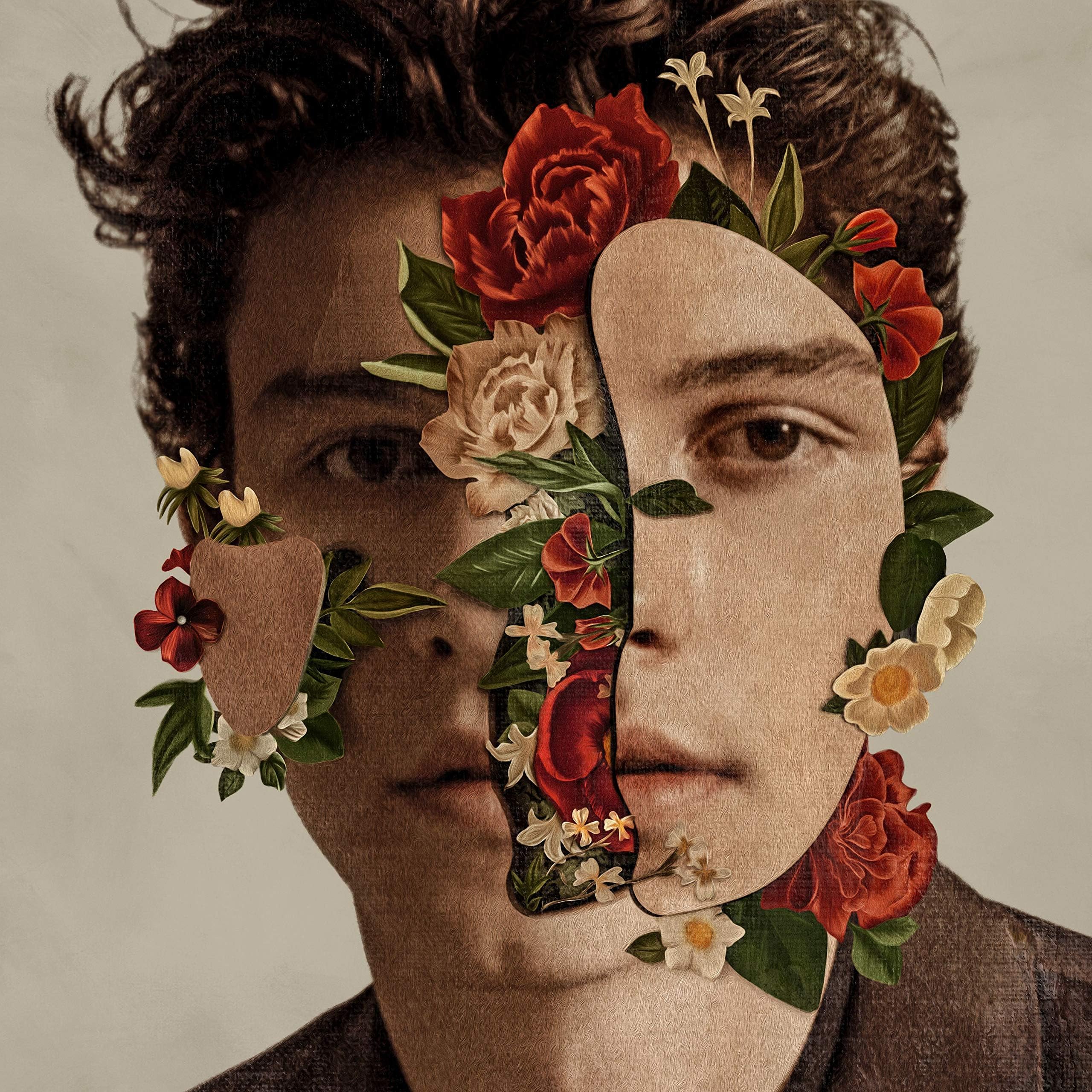 Sulili Shawn Mendes Poster Art Print Wall Posters Size 20x20 Inches