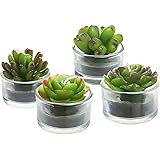 Assortment of 4 Mini Green Desert Succulent Plants Shaped Candles / Tea Lights Table / Mantle Decorations
