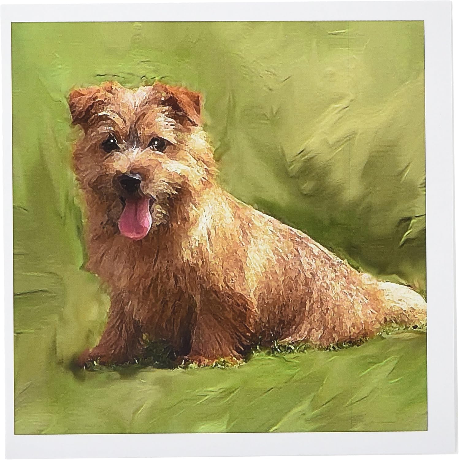 Amazon Com 3drose Norfolk Terrier Greeting Cards 6 X 6 Inches Set Of 12 Gc 4217 2 Blank Greeting Cards Office Products