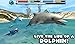 Dolphin Simulator