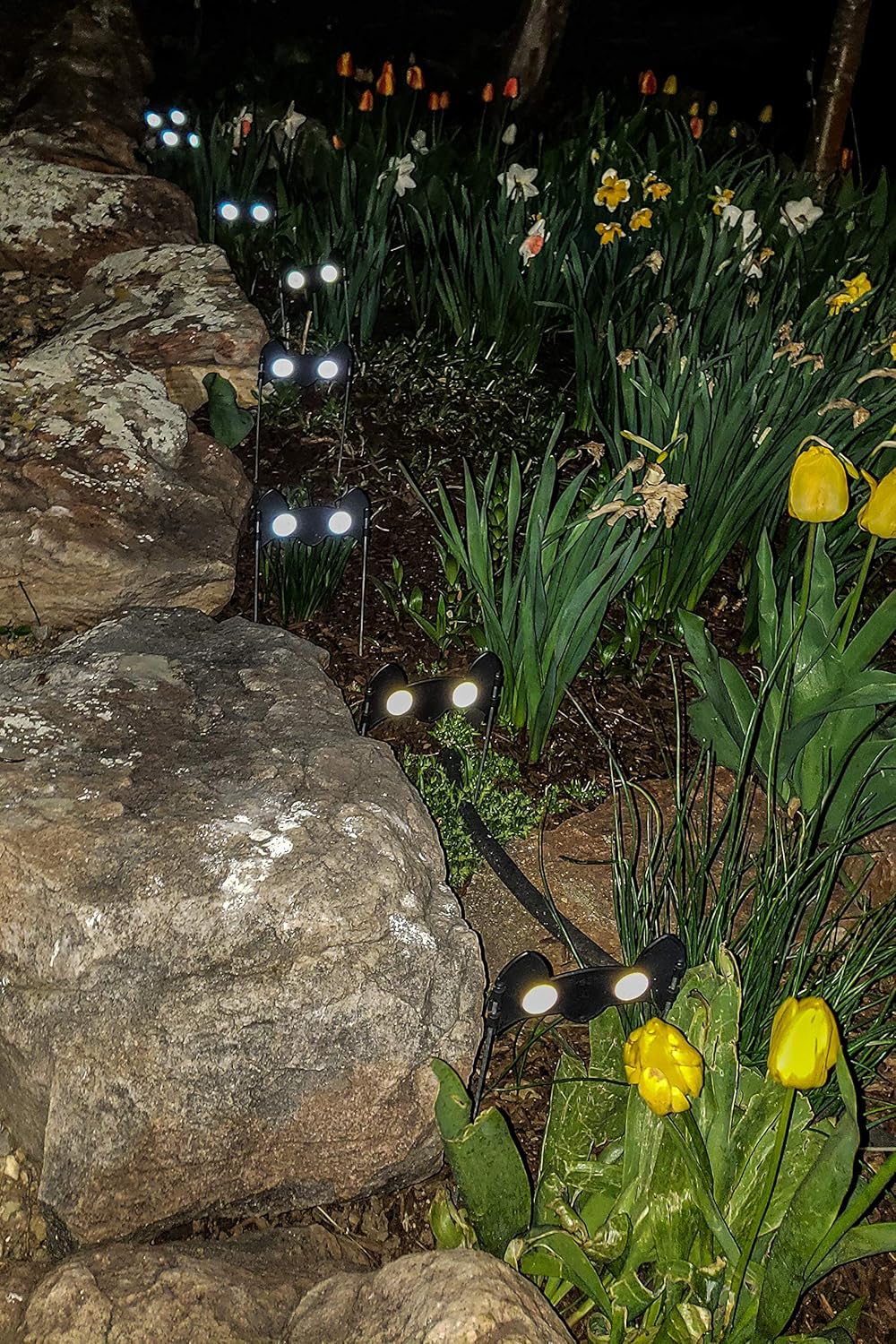 Best Solar Garden Edging