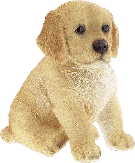 Amazon Com Border Concepts Nature S Gallery Pet Pals Golden