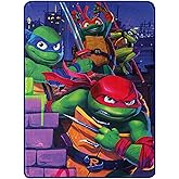 Northwest Teenage Mutant Ninja Turtles Micro Raschel Throw Blanket, 46" x 60", Mayhem Rules