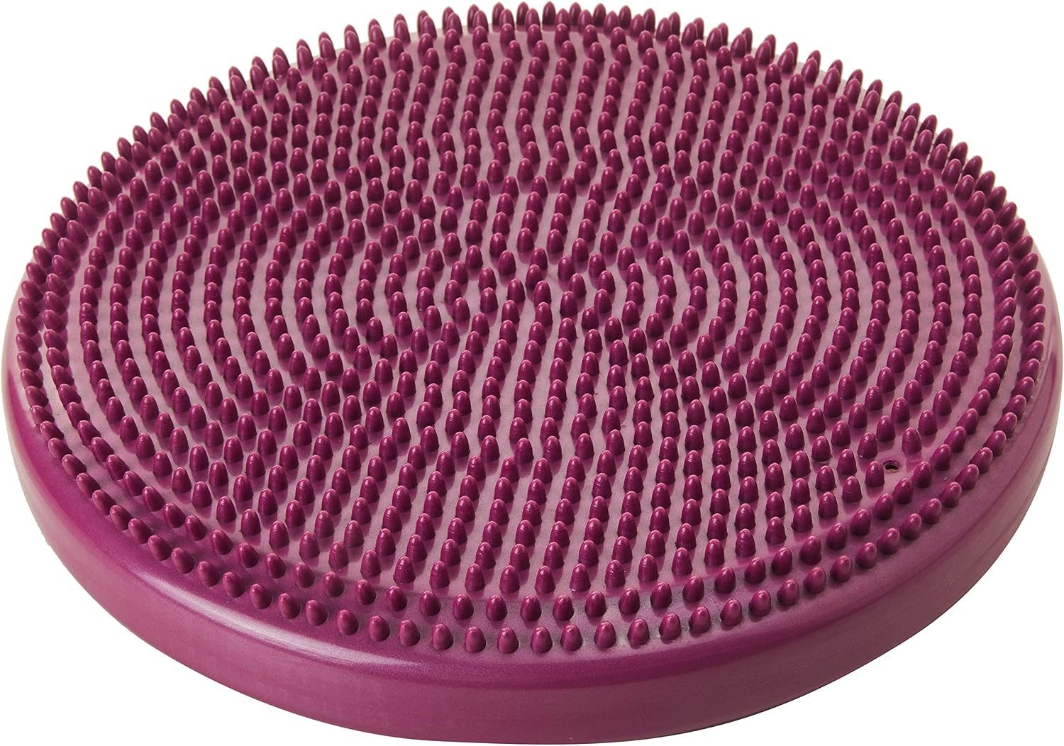 Fitpaws Balance Disc for Dogs 14 Inches Violet, 14"