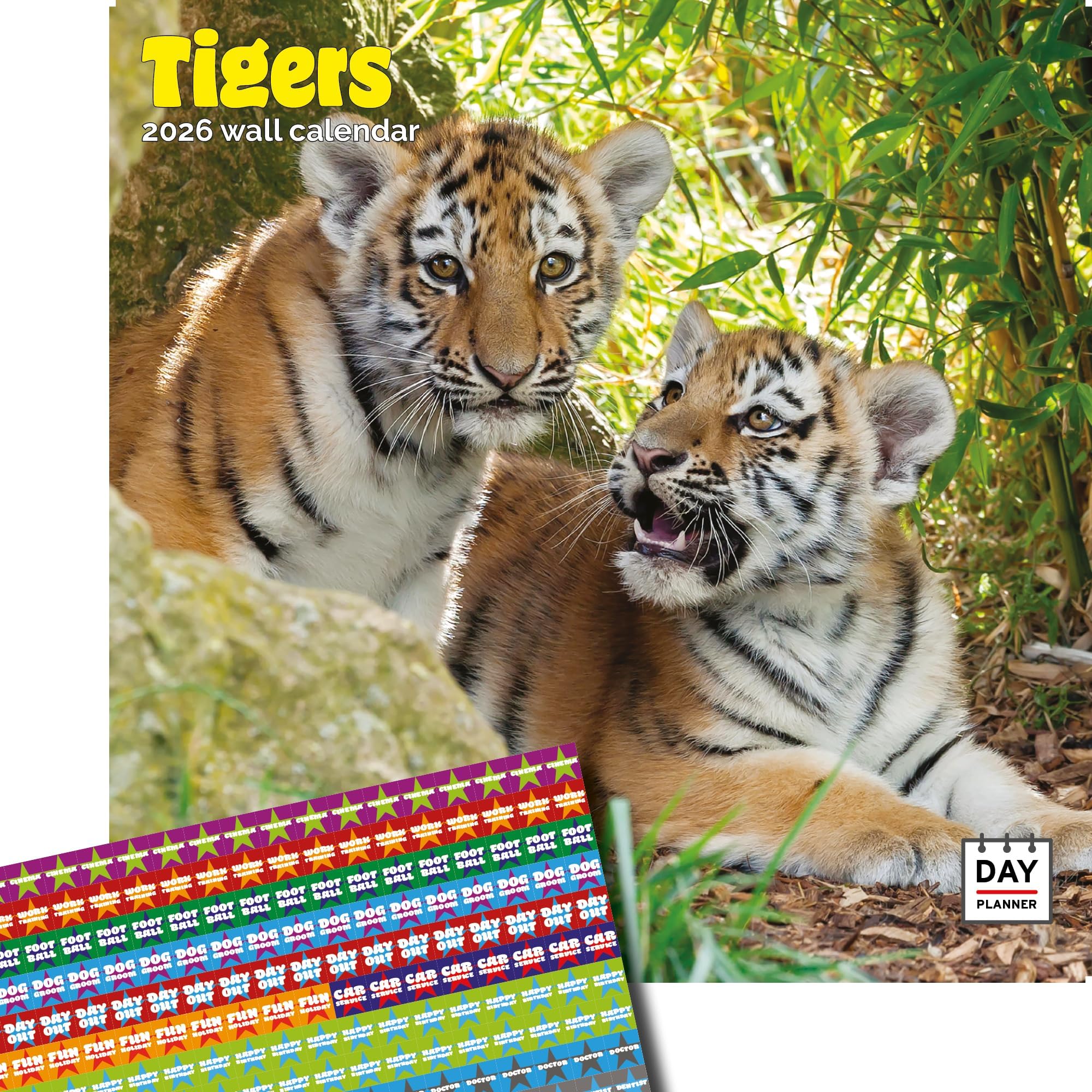 Dayplanner Publishing Tigers Calendar 2026, Large Square Wall Calendar With Organisational Stickers 16 Month, Tigers Gift Wildlife Calendar