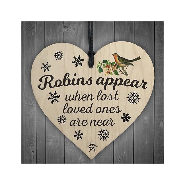 Red Ocean Robins Appear When Lost Loved Ones A...