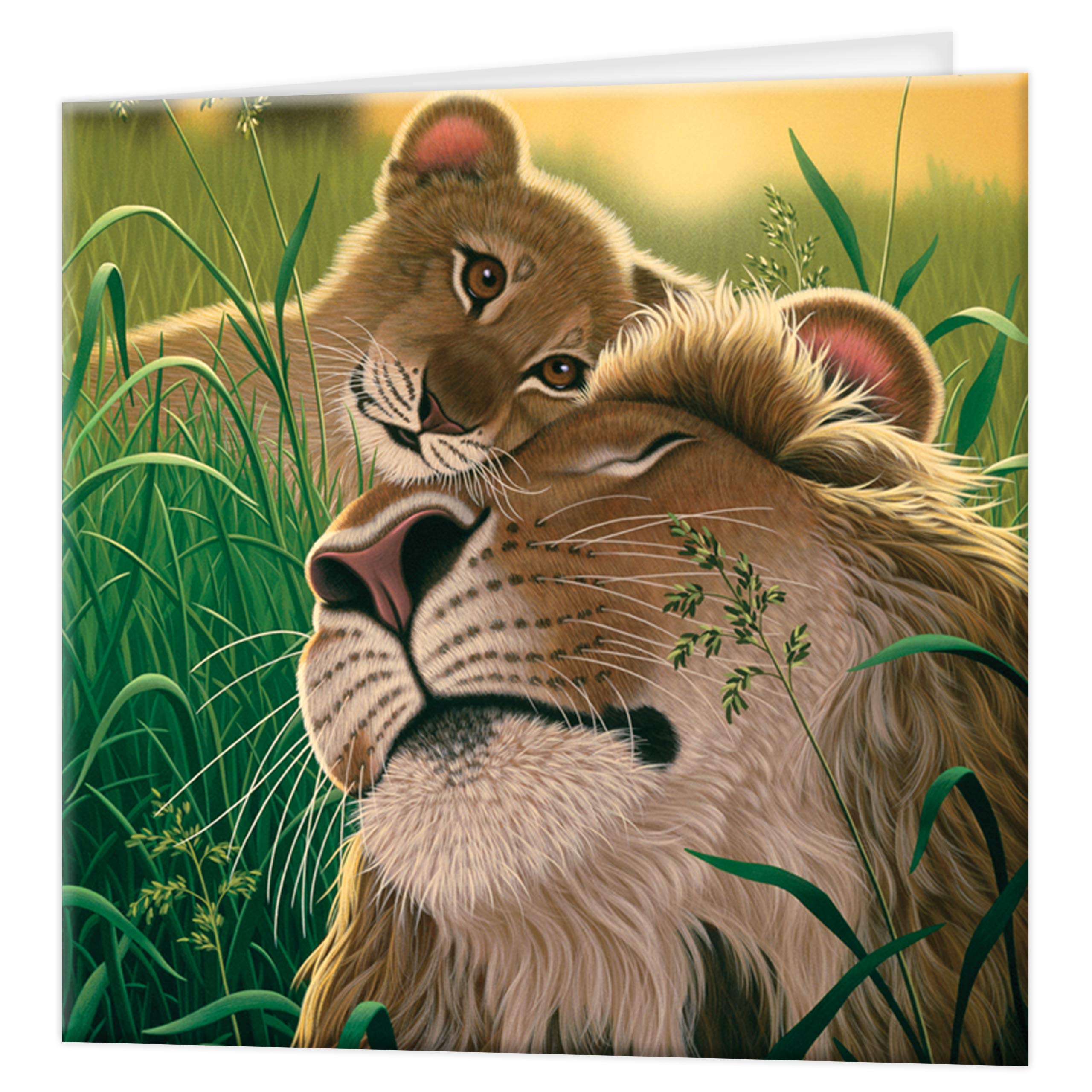 3D LiveLife Greeting Card - A Father's Love from Deluxebase. Lenticular 3D Blank Greeting Cards with Envelopes. Lion All Occasion Greeting Cards featuring Original Artwork by Schim Schimmel.
