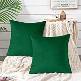 Yorkshire Bedding Velvet Cushion Covers 18x18 2 Pack Green view 7