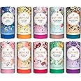 LOVARE Loose Leaf Tea Set 80 g - Made in Ukraine – Pack of 10 Assorted Tubes - Gift Box Tubes with 150 Paper Filters - Easy to Brew Flavored tea - tea Gifts