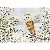 Barn Owl in Winter Deluxe Boxed Holiday Cards (20 cards, 21 self-sealing envelopes)