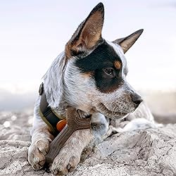Benebone Puppy Maplestick Dog Chew Toy, Made in