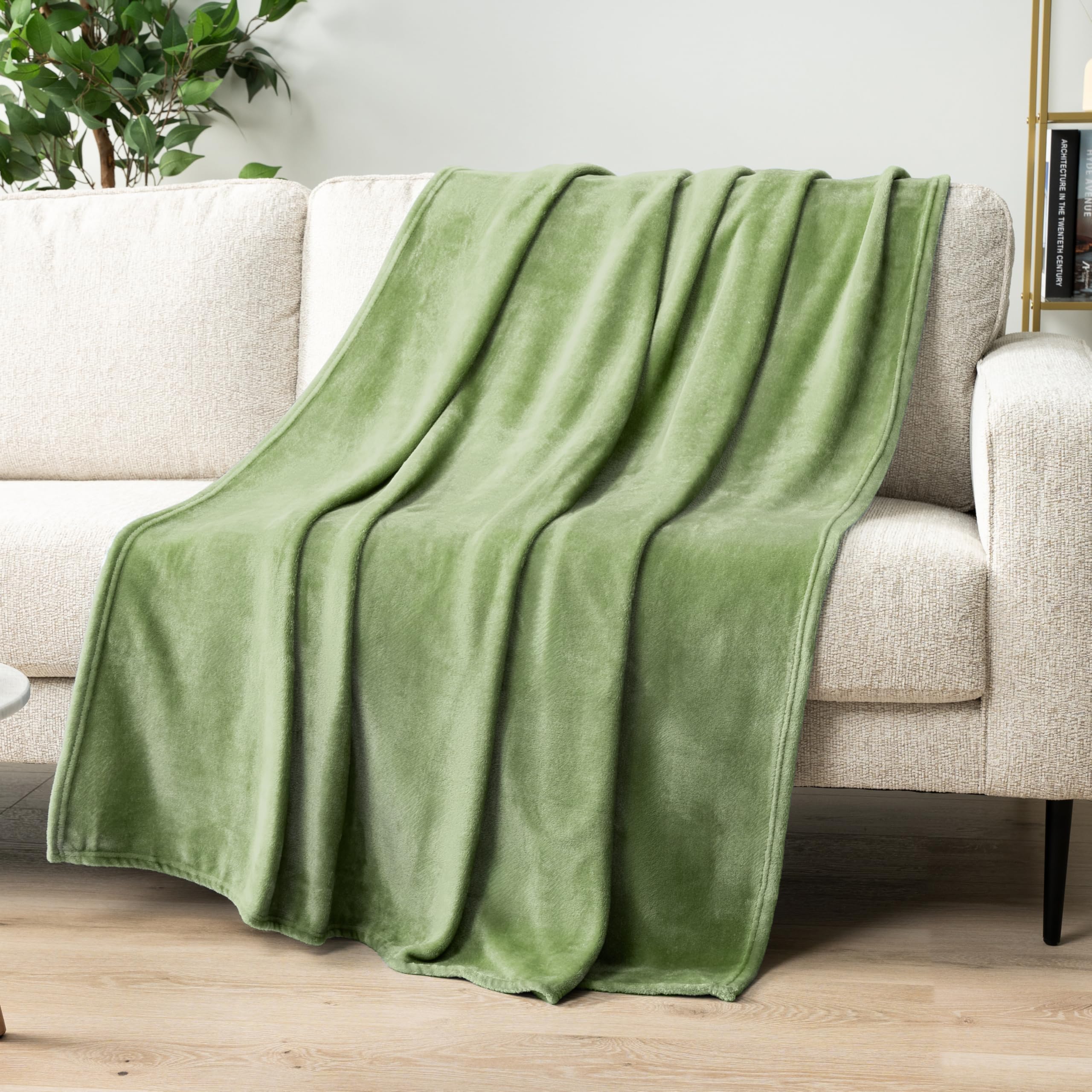 Photo 1 of PAVILIA Sage Green Fleece Throw Blanket for Couch, Light Olive Soft Fuzzy Flannel Throw for Sofa, Luxury Plush Microfiber Bed Blanket, Cozy Home Decorative Velvet Gift Blanket, 50x60