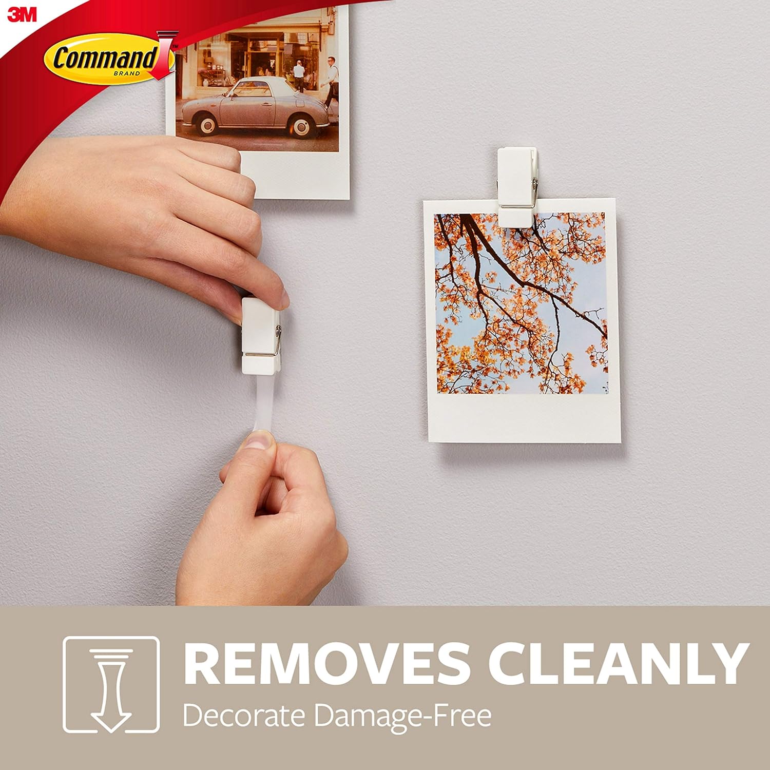 Command Spring Clips, Quartz, 8-Clips (17089Q-8ES), Great for dorm decor: Home Improvement