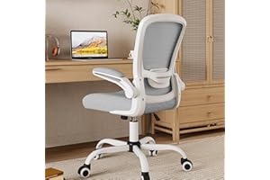 Mimoglad Home Office Chair, High Back Desk Chair, Ergonomic Mesh Computer Chair with Adjustable Lumbar Support and Thickened Seat Cushion (Modern, Moon Gray)