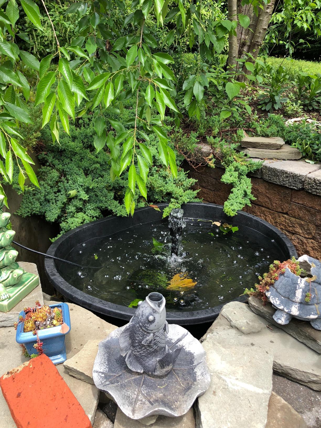 41/mo Finance Tuff Stuff Products KMT100 Oval Tank, 110Gallon Buy