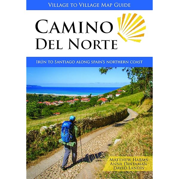 Amazon.com: San Luis Potosí State Map by Guia Roji (English and