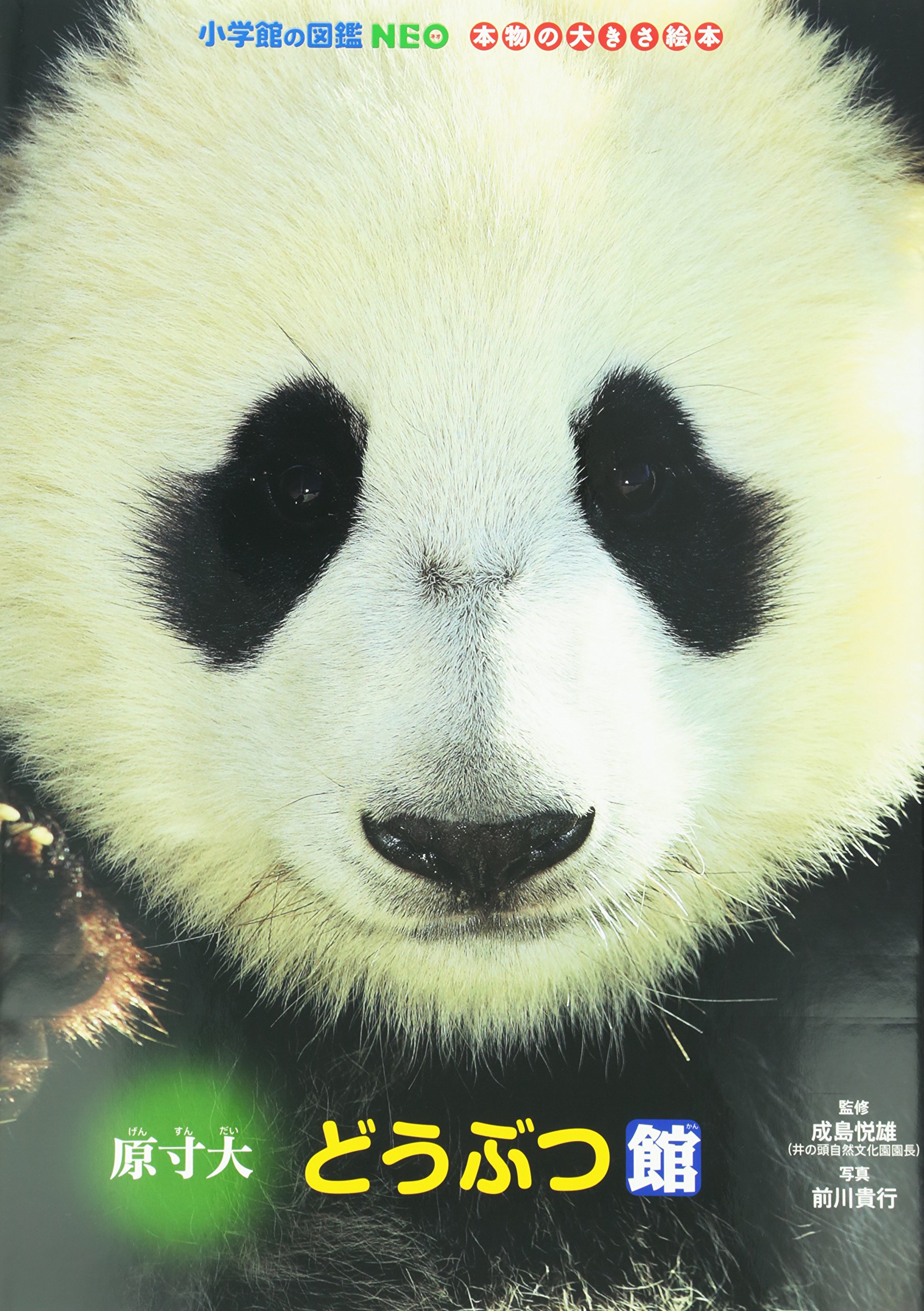 原寸大どうぶつ館 小学館の図鑑neo 本物の大きさ絵本 前川 貴行 成島 悦雄 成島 悦雄 本 通販 Amazon