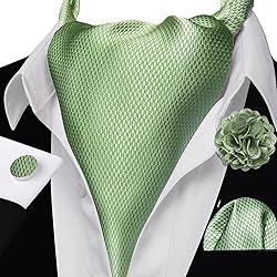 Ailisus Sage Green Ascot and Lapel Pin Set Man