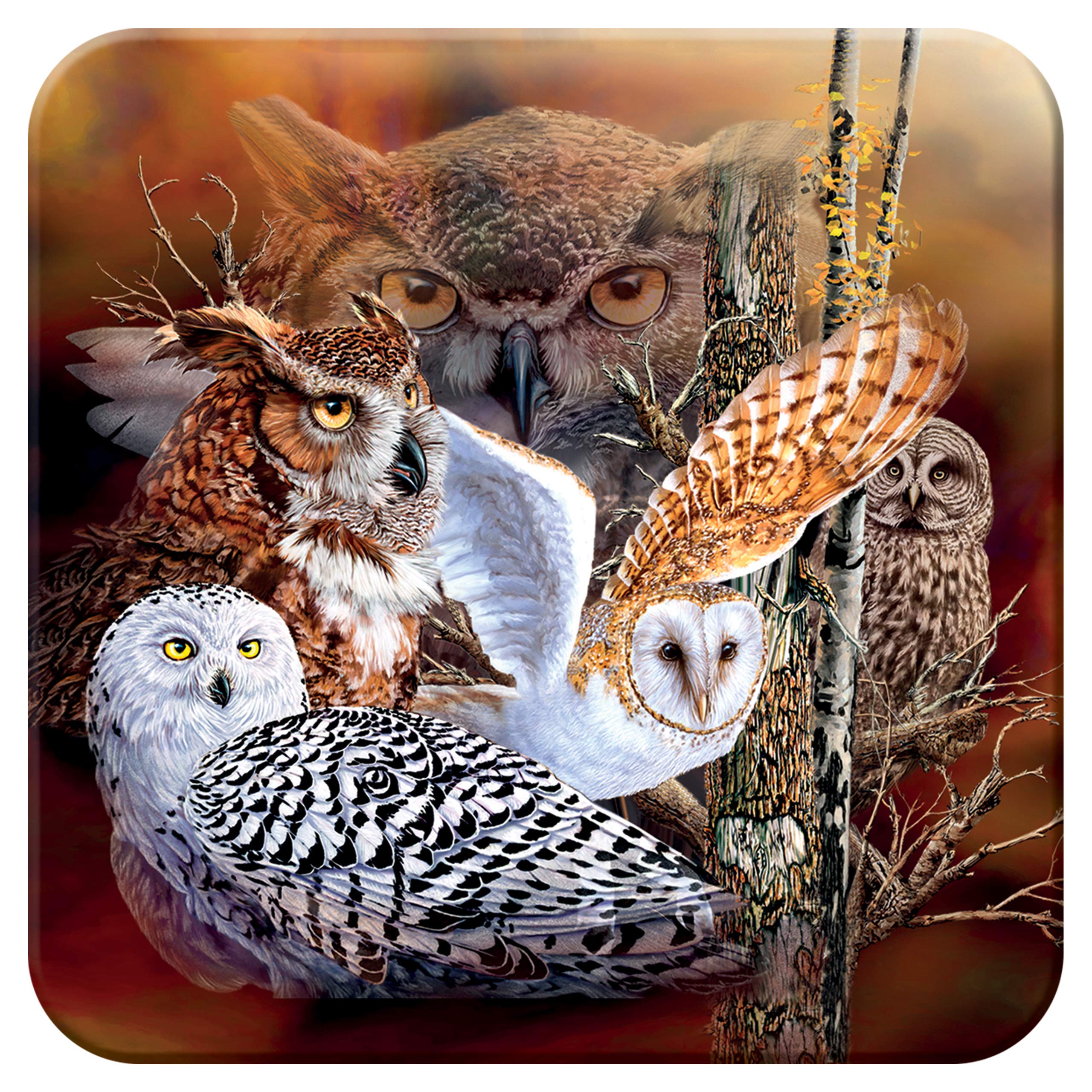 3D LiveLife Cork Coaster - Owl Woods from Deluxebase. Lenticular Bird Drink Coasters. Funny Gifts for Women and Men. Cute Novelty Kitchen Gift Ideas and Decorative Home Accessories