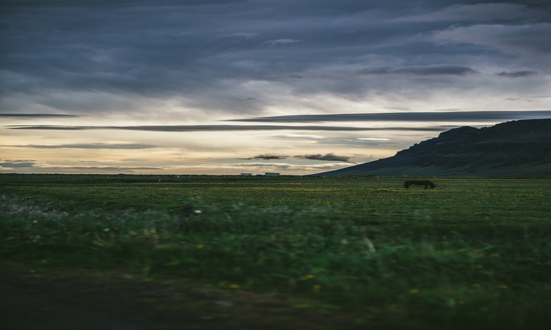 Fashionablefoods - //medicalbooks.filipinodoctors.org